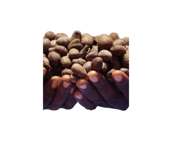 Beurre de Karité Pur Bio 200g