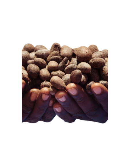 Beurre de Karité Pur Bio 200g