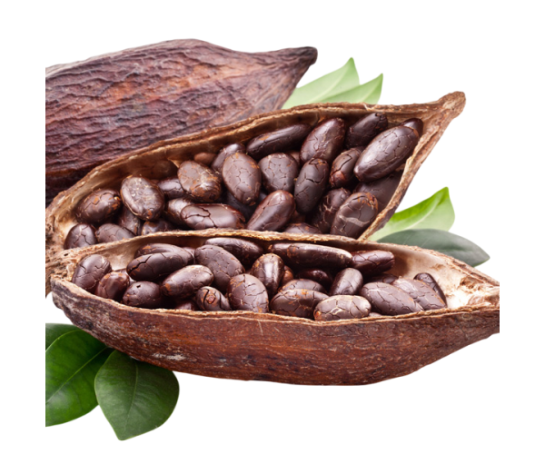 Beurre de Cacao Brut d’Afrique – Cosmétique Naturel Olayek