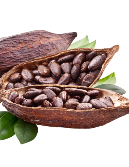 Beurre de Cacao Brut d’Afrique – Cosmétique Naturel Olayek