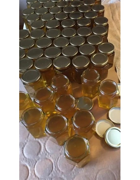 Miel d'abeille BIO